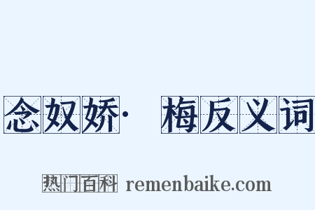 念奴娇·梅反义词是什么意思的图片